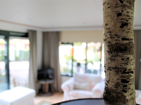 Chalet woonkamer